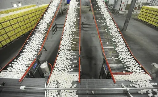 In this July 28, 2012 file photo, chicken eggs are transported by conveyor belt from the production side to the packaging side at a farm in Cortland, Ind. (Aaron Piper/The Tribune via AP, File)