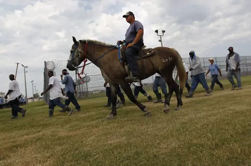 Prison guards ride horses that were broken by inmates as they return from farm work detail at the Louisiana State Penitentiary on Aug. 18, 2011, in Angola, La. Men incarcerated at Louisiana State Penitentiary filed a class-action lawsuit Saturday, Sept. 16, 2023, contending they have been forced to work in the prison’s fields for little or no pay, even when temperatures soar past 100 degrees. They described the conditions as cruel, degrading and often dangerous. (AP Photo/Gerald Herbert, File)