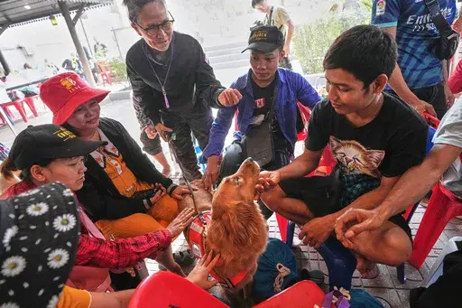 K9 named Lek, center, works as an emotional support with relatives of workers of a high-rise building under construction that collapsed after Friday's earthquake in Bangkok, Thailand, Tuesday, April 1, 2025. (AP Photo/Sakchai Lalit)