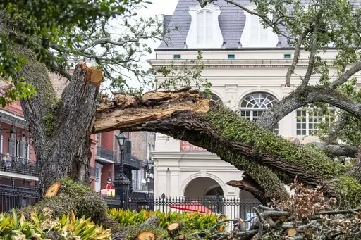 The severed limb of a live oak tree in Jackson Square in the French Quarter of New Orleans is seen on July 7, 2023. A teenager was critically injured when the branch of the large oak tree snapped and fell on him and others. The family of the teenager filed a lawsuit against the city on Wednesday, July 19. (Chris Granger/The Times-Picayune/The New Orleans Advocate via AP, File)