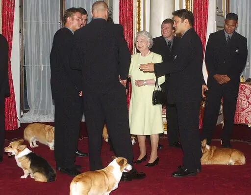 Britain's Queen Elizabeth II meets the New Zealand All Blacks rugby team will the royal corgis in attendance at Buckingham Palace, London Tuesday Nov. 5, 2002. Queen Elizabeth II's corgis were a key part of her public persona and her death has raised concern over who will care for her beloved dogs. The corgis were always by her side and lived a life of privilege fit for a royal. She owned nearly 30 throughout her life. She is reportedly survived by four dogs. (AP Photo/Kirsty Wigglesworth, Pool)